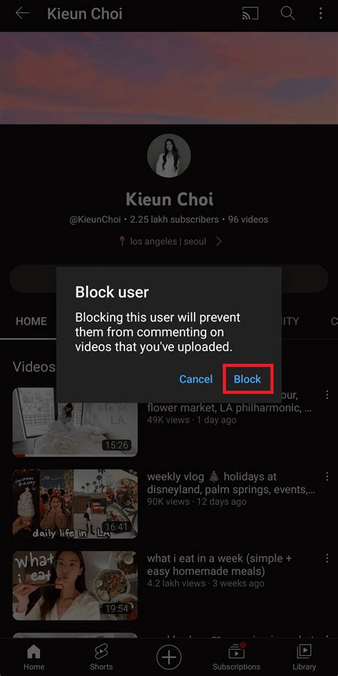 How To Block Youtube Screen