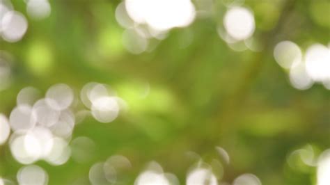 How To Blur Background In Quicktime Player