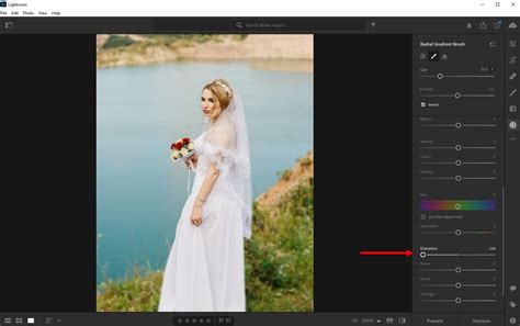 How To Blur Background Using Lightroom 5