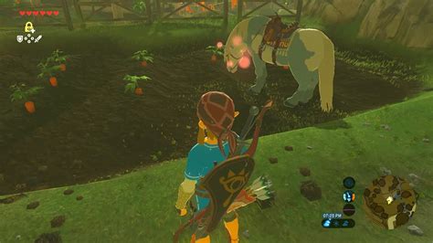 how to bond with horse in botw