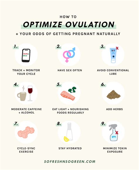 how to boost ovulation to conceive