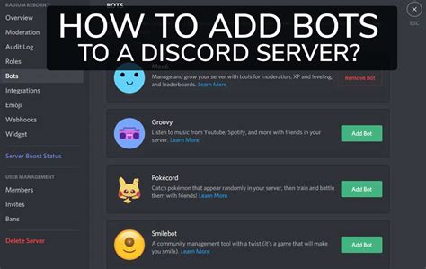how to bot discords