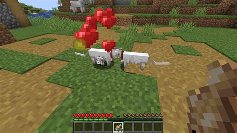 how to breed a cat in minecraft