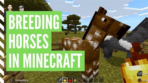 how to breed horses in minecraft bedrock