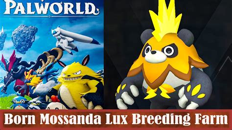 how to breed mossanda lux