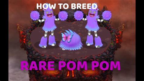 how to breed pom pom in msm