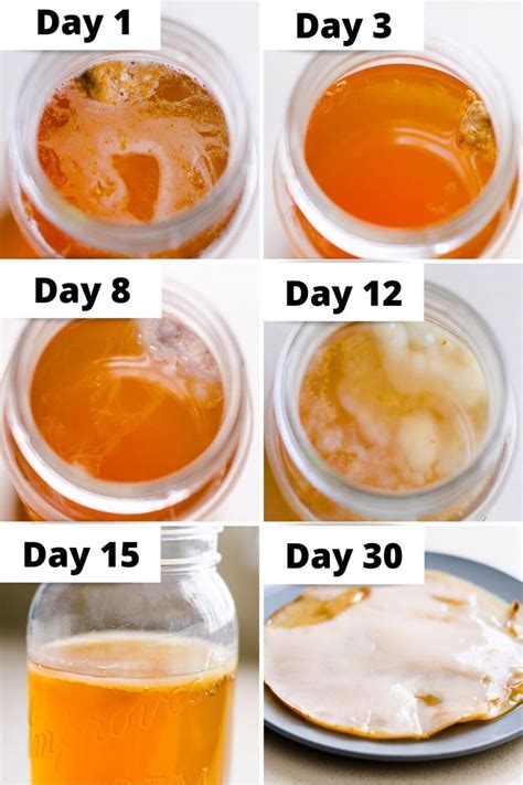 how to brew kombucha from scoby