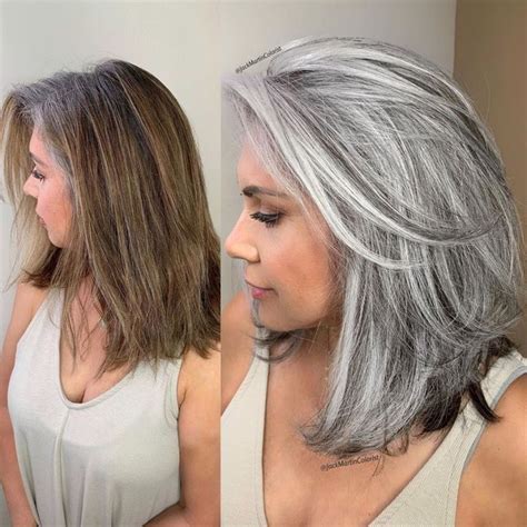 Free How To Brighten Mousy Gray Hair For Hair Ideas