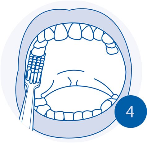 How To Brush Teeth Thoroughly