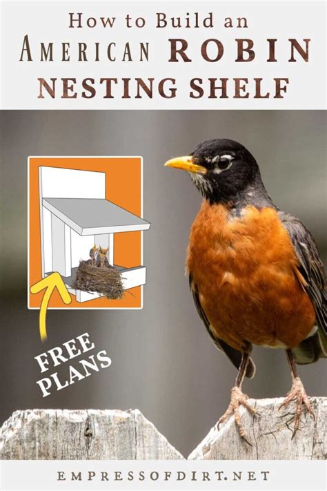How To Build A Robin Nesting Shelf