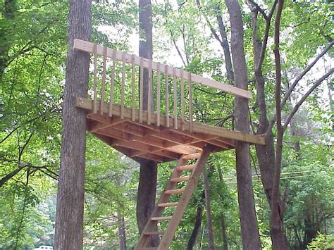 How To Build A Treehouse Between 3 Trees