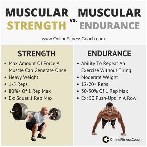 How To Build Muscle Endurance  A Simple Guide