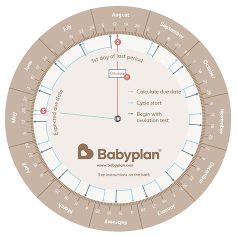 how to calculate due date from ovulation day