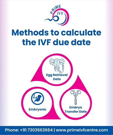 how to calculate due date when doing ivf