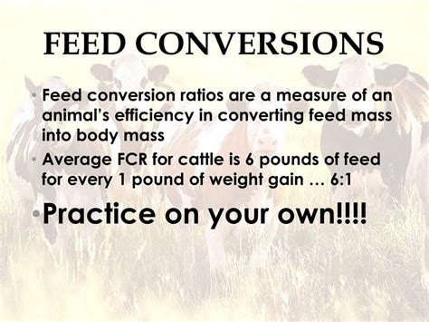 How To Calculate Feed Conversion Ratio For Cattle