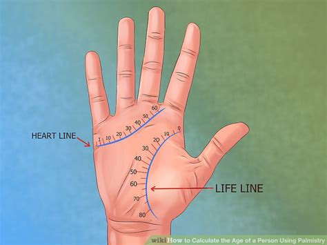 How To Calculate Life Span In Palmistry
