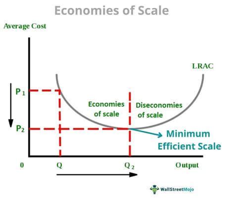 How To Calculate The Efficient Scale