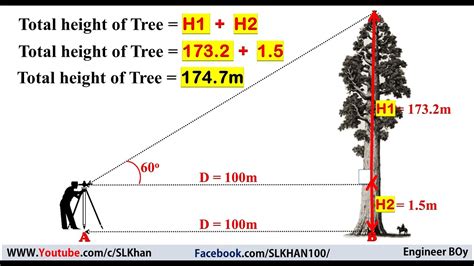 how to calculate the height of a tree