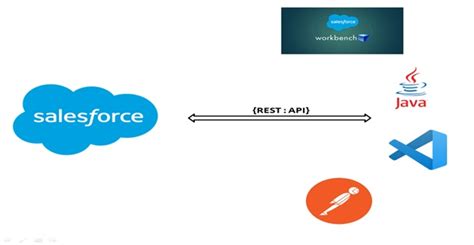 how to call rest api in salesforce