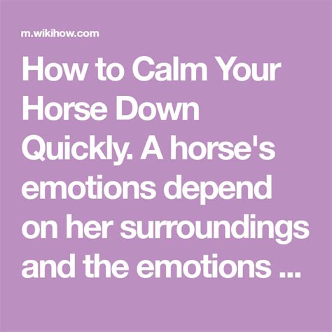 how to calm a horse down
