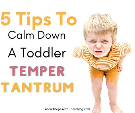 how to calm down a toddler temper tantrum
