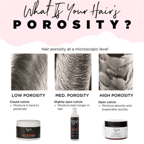Free How To Care For Hair Porosity For Hair Ideas