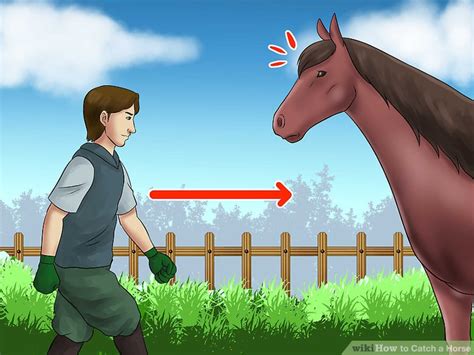 how to catch a horse