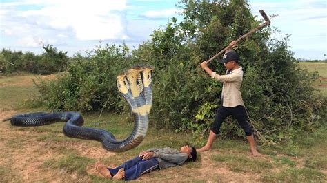 How To Catch A Snake