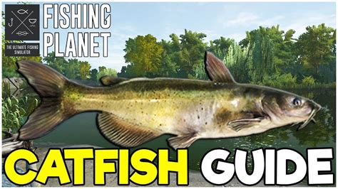 how to catch catfish in fishing planet