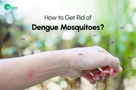 how to catch dengue