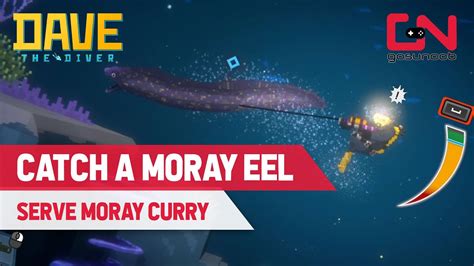 how to catch moray eel