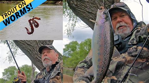 How To Catch Trout In A River With Worms