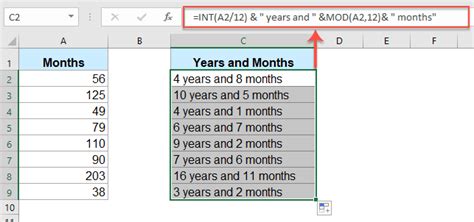 how to change a number into years and months in excel