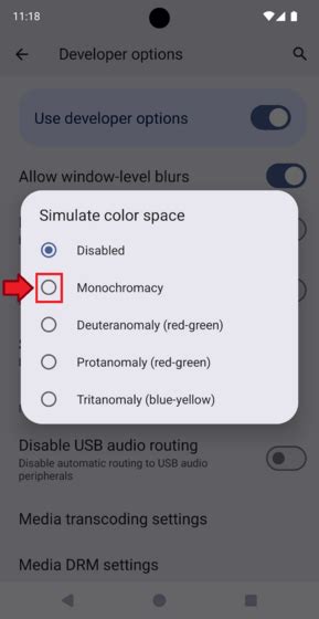 How To Change Android Screen To Black And White