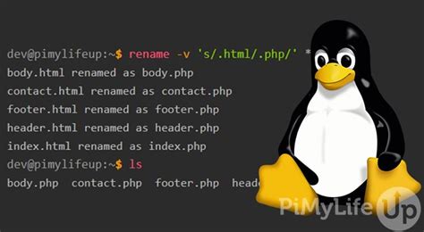 how to change file name in linux terminal