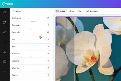 how to change image format in canva