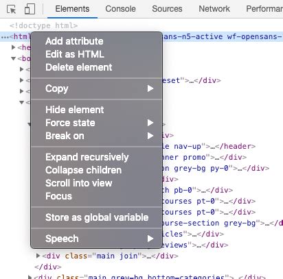 how to change name using inspect element