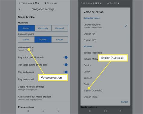 how to change the language on iphone maps