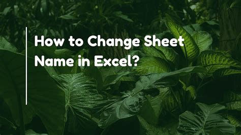 How To Change The Sheet Name On Excel