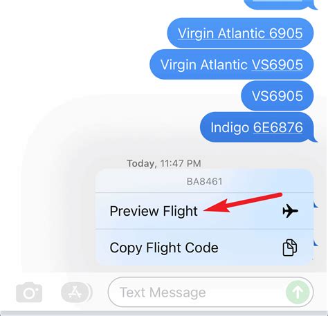 how to check a flight via text