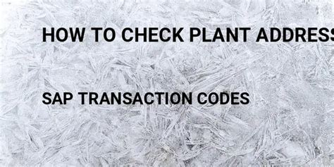 how to check address in sap