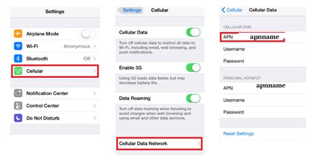 how to check apn on iphone 13
