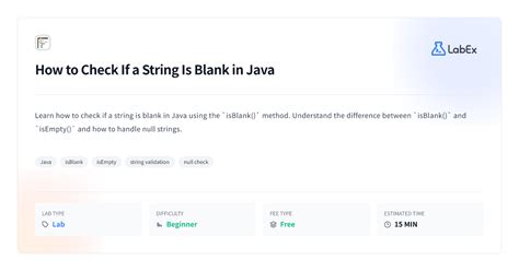 How To Check Blank Object In Java