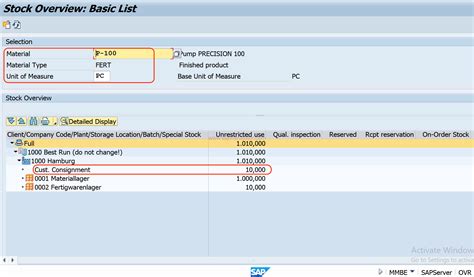 how to check consignment stock in sap
