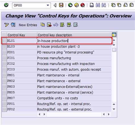 how to check control key in sap