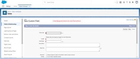 How To Check Custom Fields In Salesforce