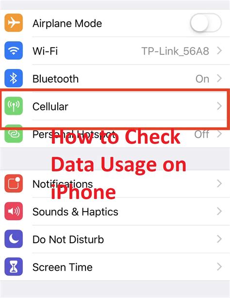 how to check data usage on iphone 12