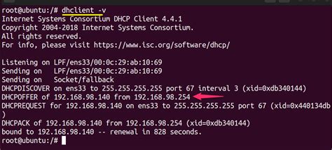 how to check dhcp ip address in linux