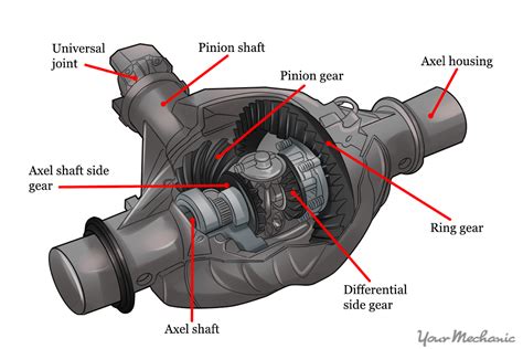 How To Check Differential Fluid