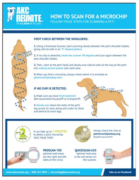 How To Check Dog For Microchip